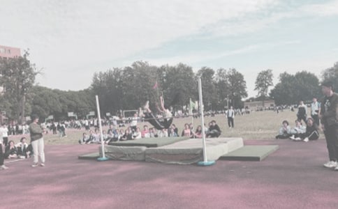 ��ѡ��������300��9ƪ