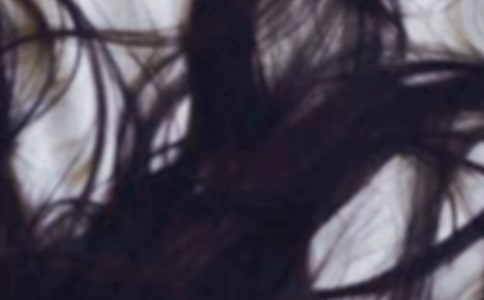 妈妈的白头发作文