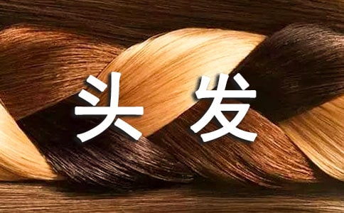 �����ͷ��������300��8ƪ