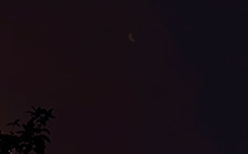 ����˵������������