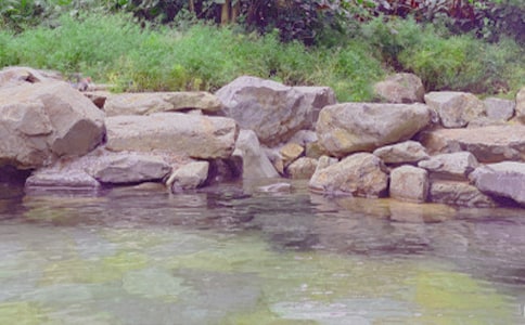 ��Ȫ����500�ֺϼ�ʮƪ