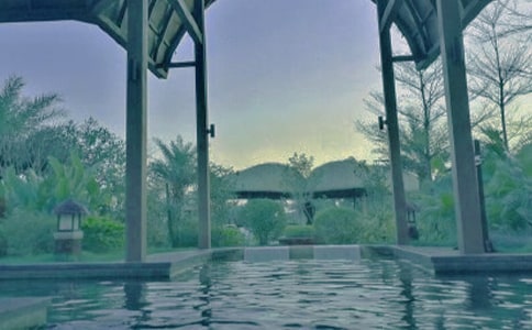 ����Ȫ����600�֡����š�