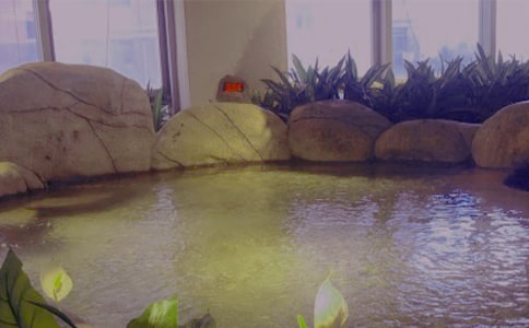 【实用】温泉的作文300字三篇