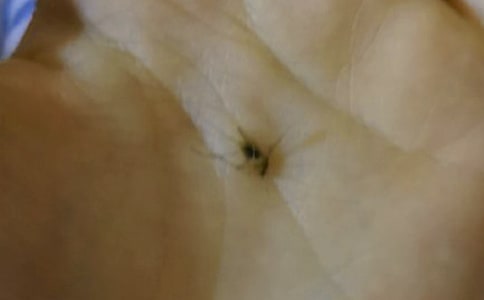 ��ѡ�������꼶���Ľ���9ƪ