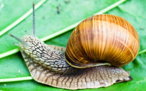 Χ����ţ�����꼶����