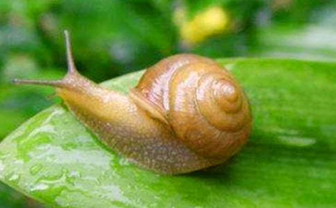 ��ţ����300�ִ�ȫ(4ƪ)