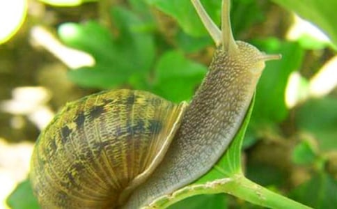 ��ţ����500��(���6ƪ)