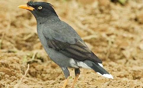 ���Ƽ�����ѻ������300����ƪ