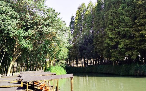 �����μ����ĺϼ���ƪ