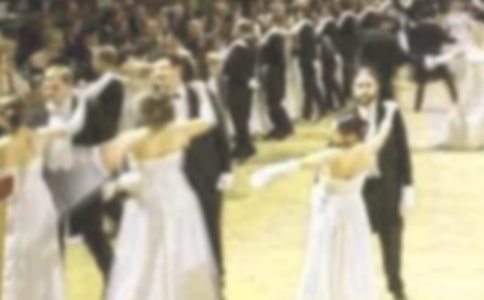 ɭ���������300��5ƪ