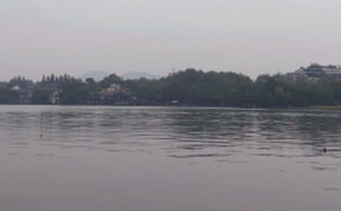 ���꼶��������10ƪ