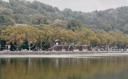 游西湖300字作文