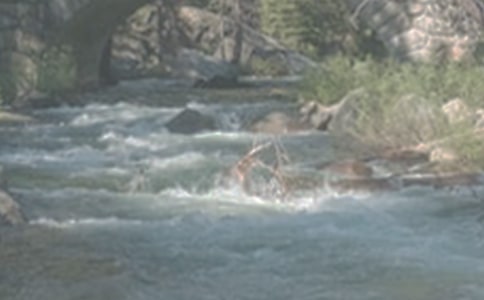 ��СϪ���ĸ衷����У���ѡ20ƪ��