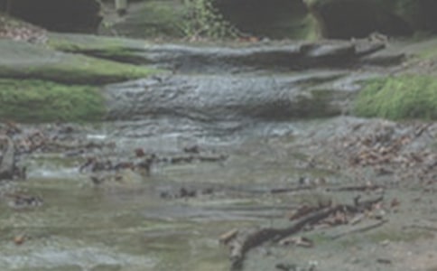 Ϫ�����꼶����