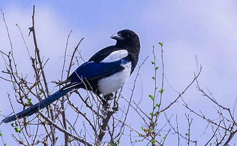 ��ѡϲȵ������300��9ƪ