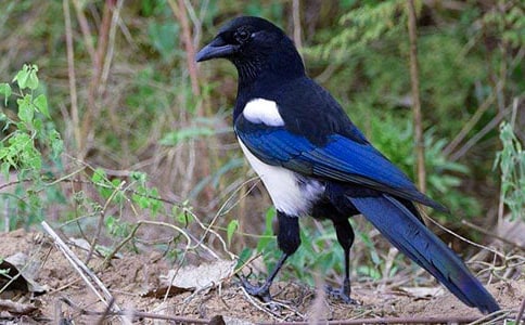 ����Ʒ��ϲȵ������300��4ƪ