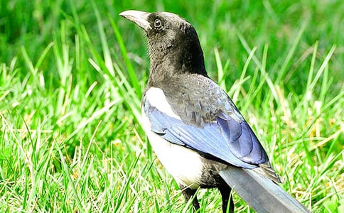 ����ѡ��ϲȵ����300�ֺϼ�7ƪ