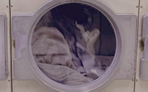 ϴ�·�����350��