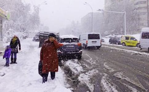 ����ѡ����ѩ���꼶����4ƪ