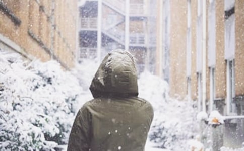 ��ѩ��������15ƪ[��]