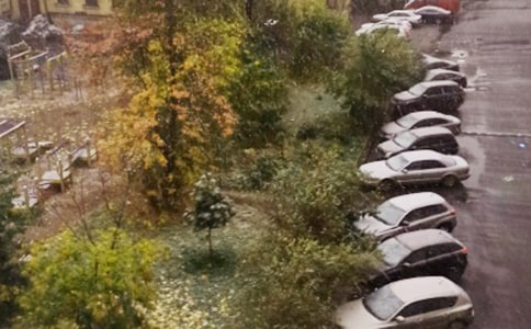 ���꼶��ѩ�����Ļ��ʮƪ