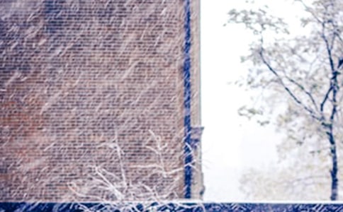 �������꼶��ѩ�����ĺϼ�5ƪ