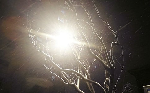 ��ѩСѧ����(�ϼ�15ƪ)