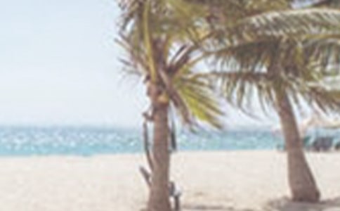 �ļ��ڵ�����600�ְ�ƪ