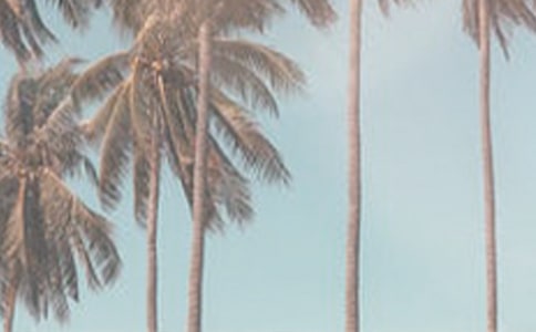 �ļ�����600��ͨ�ã�4ƪ��