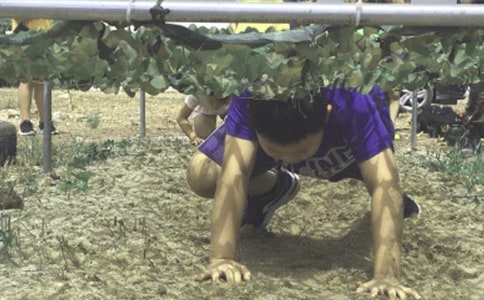 夏令营作文示例