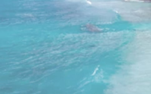 �������ռ�������500��8ƪ