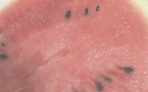 �й����ռ�������500��ʮƪ