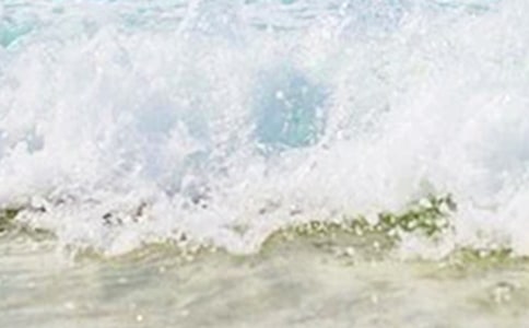 �����ζ��800�������ز�