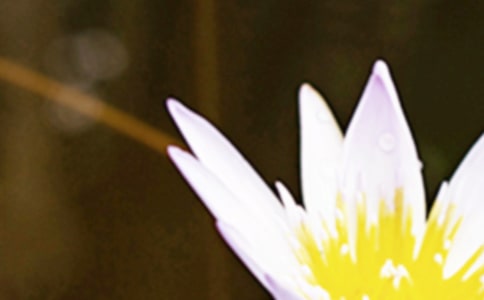 ������������300��4ƪ