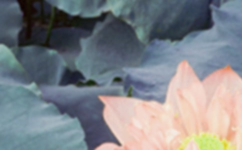 ����δ����ѡ����