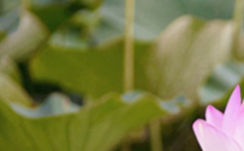 ������δ���������