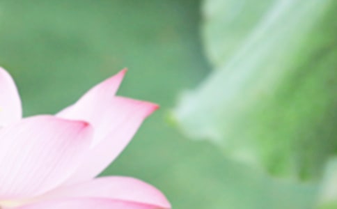 夏至即景小学作文