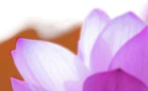 ��������400��