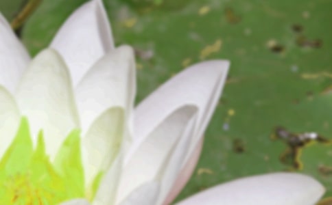 �й���������300��7ƪ