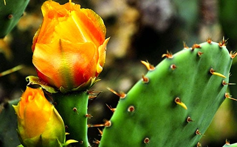 ������100�����꼶����