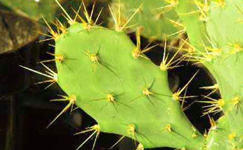 ���������꼶����