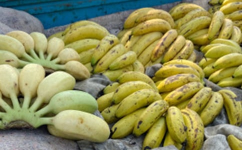 �㽶���꼶���ļ���7ƪ