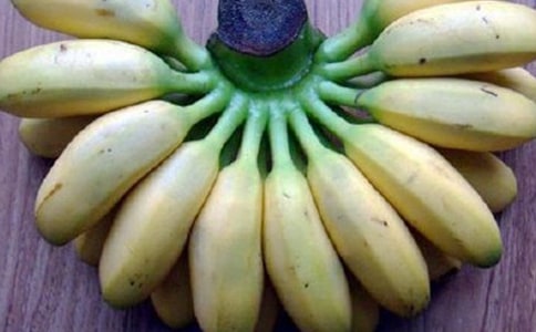 香蕉小学作文(通用15篇)