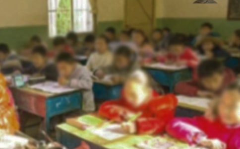 美丽乡村小学生作文(精选11篇)