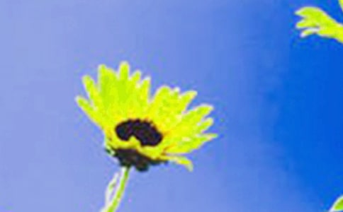 ���տ�����350�֣���ѡ5ƪ��