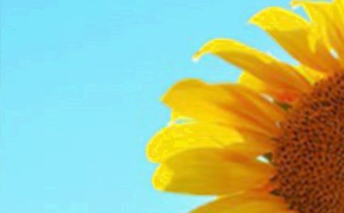 ���տ��ĵ�����500��6ƪ