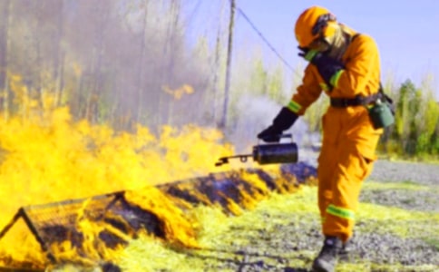 【热门】消防作文300字四篇