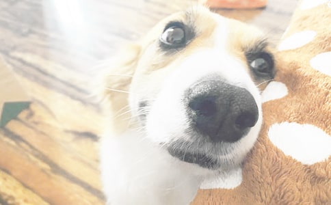 С������250������5ƪ