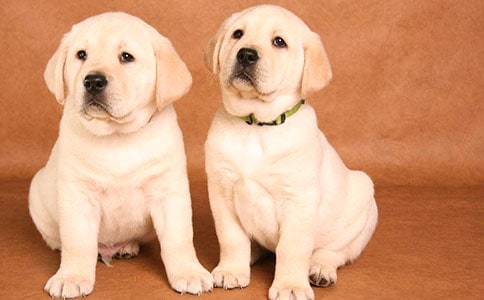 С��300������ʾ��