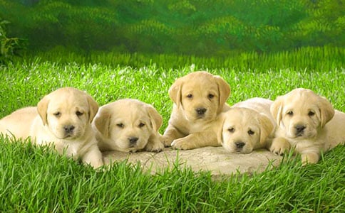 С��������150�֣�ͨ��57ƪ��